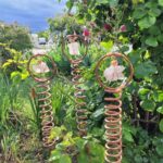 Měděný drát okolo slimáků funguje lépe než chemie, která vás zdrhuje