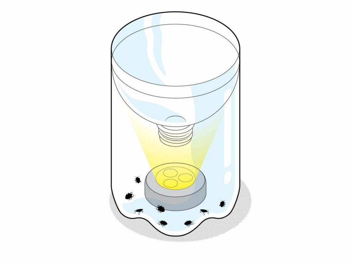 Mouka a jedlá soda v lahvi: přírodní past na květináčové škůdce - image 1