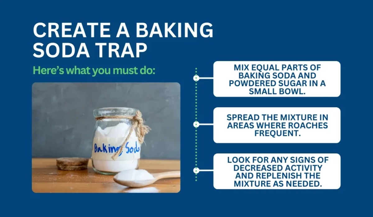 Mouka a jedlá soda v lahvi: přírodní past na květináčové škůdce - image 2