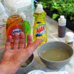 Mýdlová voda místo pesticidů? Proč to botanici tajně používají