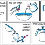 Ocet a mýdlo místo chemie: česnek bez škůdců za pět korun