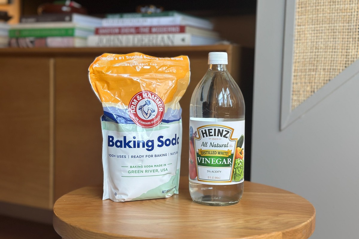 Ocet a soda do půdy: jak bez chemie zbavit se plzáků z polic - image 2