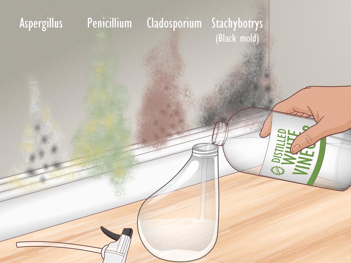 Ocet v postřiku: jak to zničí plíseň bez jedovatých látek