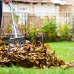 Pálená soda do zahrady: jednoduchý trik proti plísním