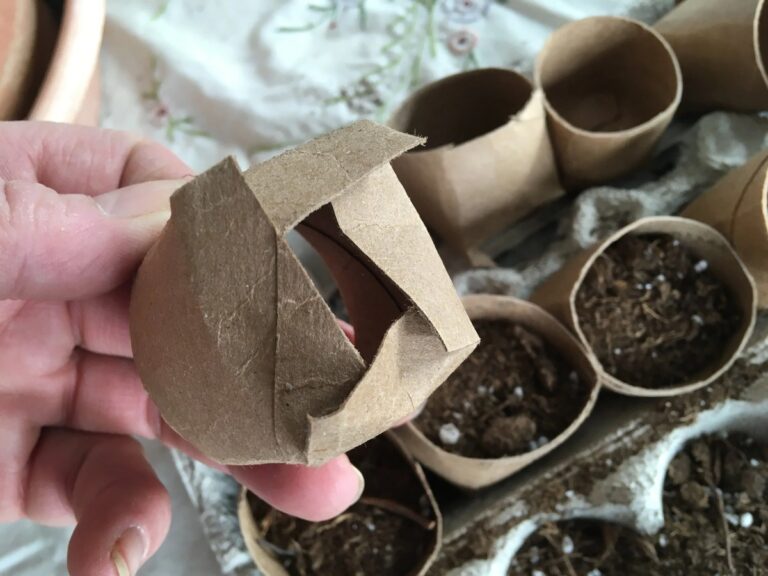 Papírové role od toaletního papíru jako startovací květináče: úspora za peniaze