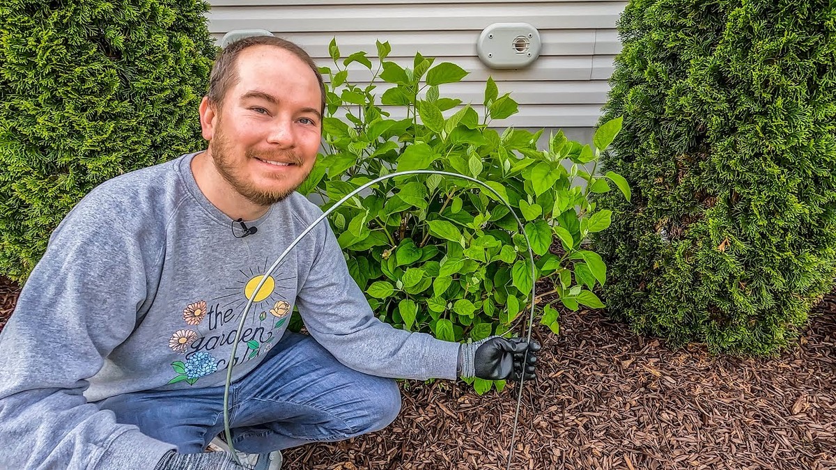 Papírový kartáč od toaletního papíru na podporu rostlin – geniální levné řešení - image 2