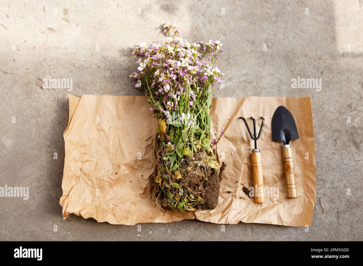 Pergamen na zahradě: skvělé řešení proti plevům, které vás překvapí - image 1