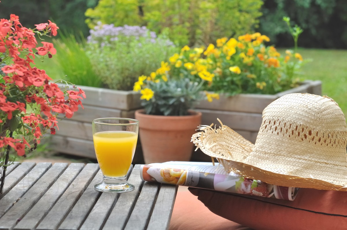 Použitý kávový filtr v květináči? Třicetiprocentní úspora vody v létě - image 2