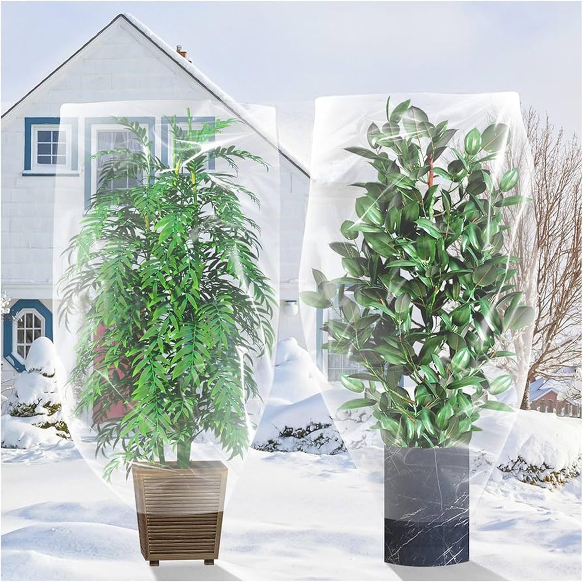 Průhledný sáček v květináči změní způsob vaší péče o rostliny - image 1