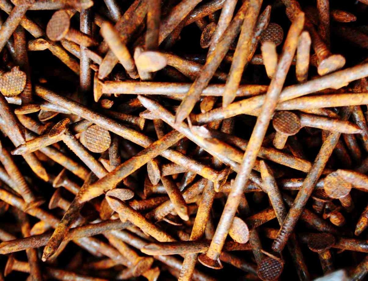 Rozbitý hřebík v zemi? Zahradníci ho tam záměrně nechávají - zde je důvod