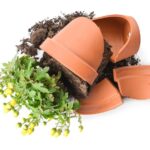 Rozbitý květináč není odpad – recyklace, kterou neznáte