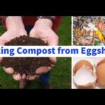 Skořápky od vajec v kompostu: Proč zahradníci už nekupují vápník na rostliny