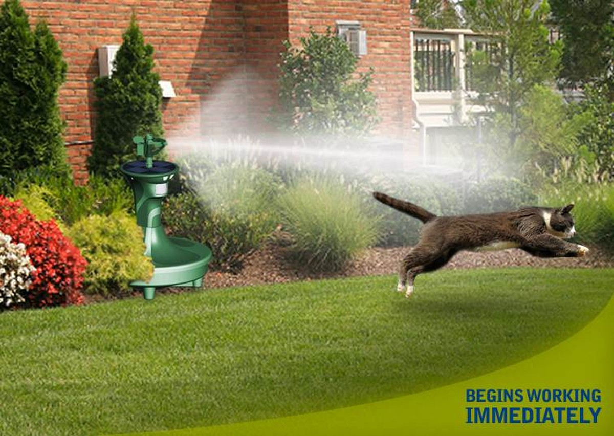 Skořice na okraji záhonů: půlkilogramový prostředek za pár korun - image 2