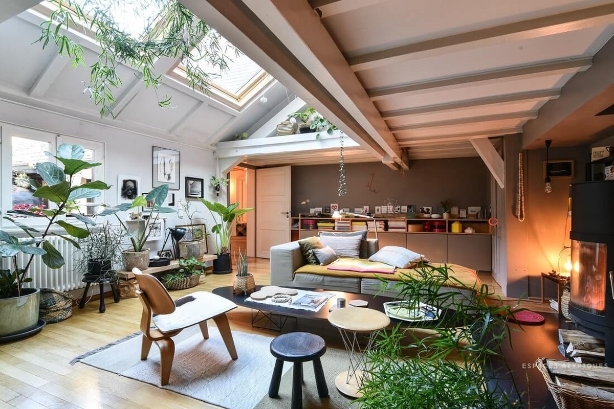 Skořice na půdě mezi květinami: Přírodní repelent za pár korun - image 2