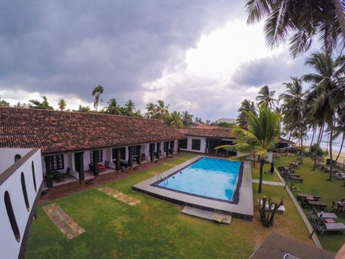 Skořice na záhonu zadrží škůdce na měsíce. Zahradníci to tají