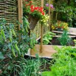 Skořice v záhonu: starý trik proti molům a škůdcům, který funguje opravdu