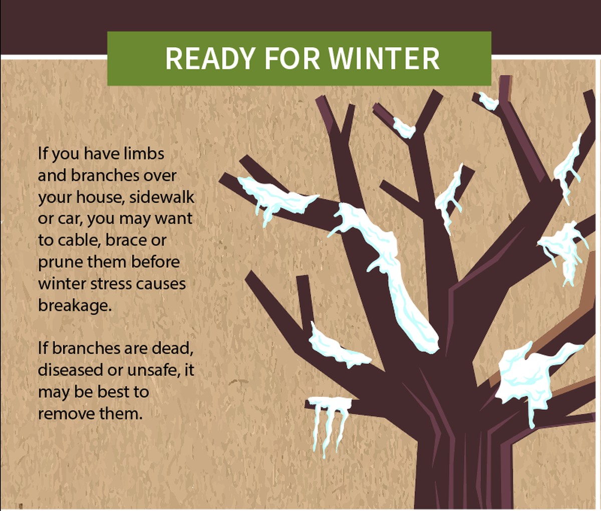 Skořicový prach na stromcích: Jak na pár haléřů zabránit hmyzu v únoru - image 2