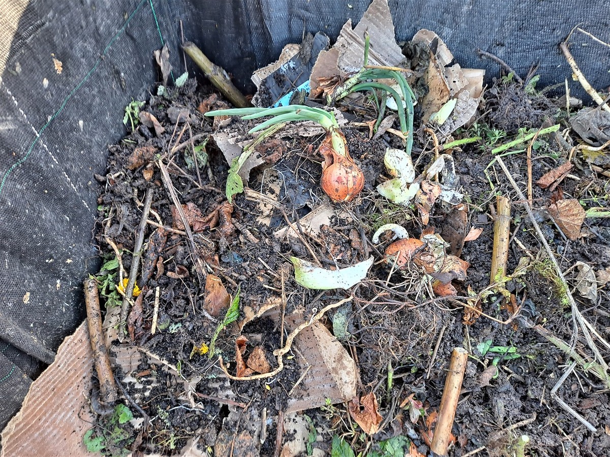 Slupka od cibule v kompostu změní vaši úrodu