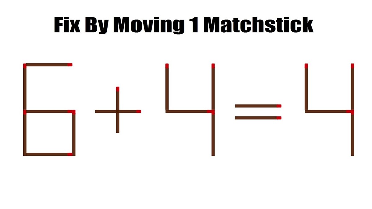 Špárovka do zahrady: trik na hubení slimáků, který babičky věděly - image 1