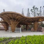 Staré bambusové hole jako lavička pro rajčata: tvůrčí řešení za centímy