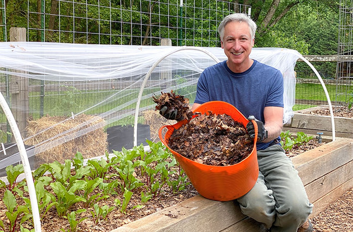 Staré noviny pod zeleninou: jak ušetřit na zalévání až 40 procent - image 2