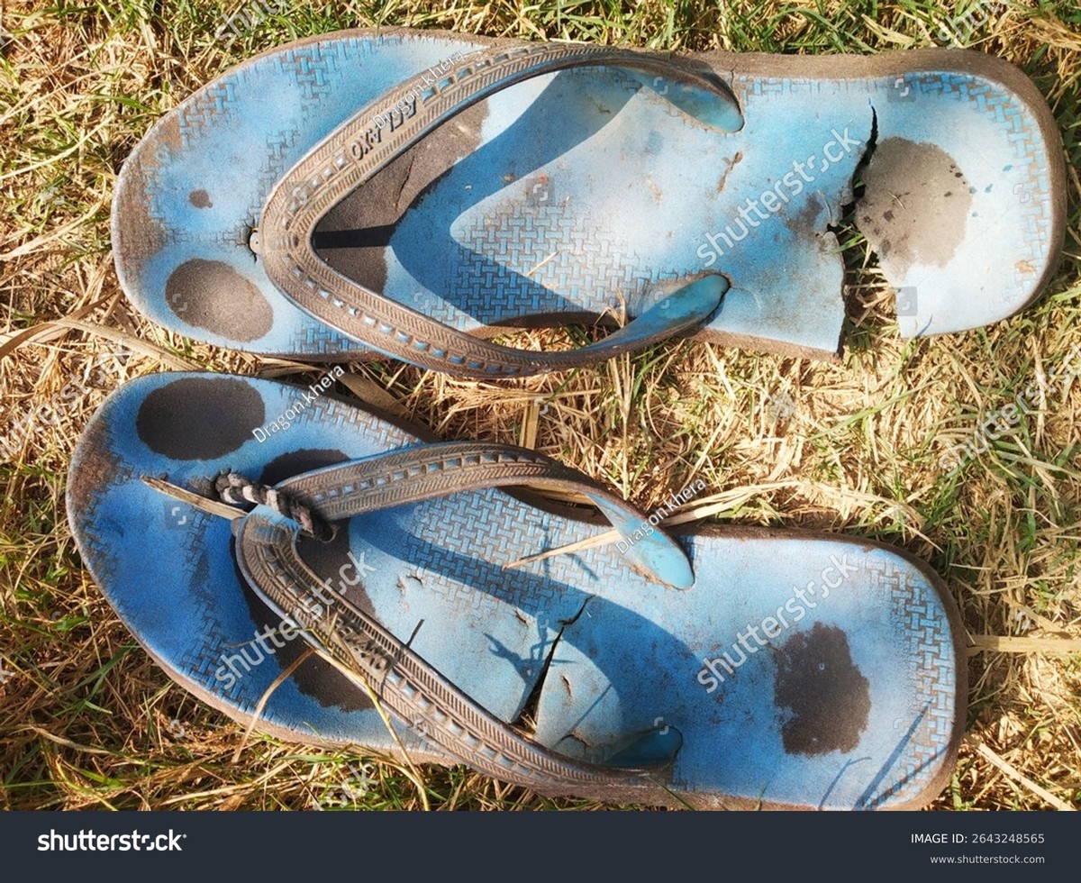 Starý pantofle jako sběrač plevelů: jak trik funguje na trávníku