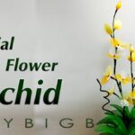 Starý punčoch jako zálivka pro květiny? Výsledky překvapují