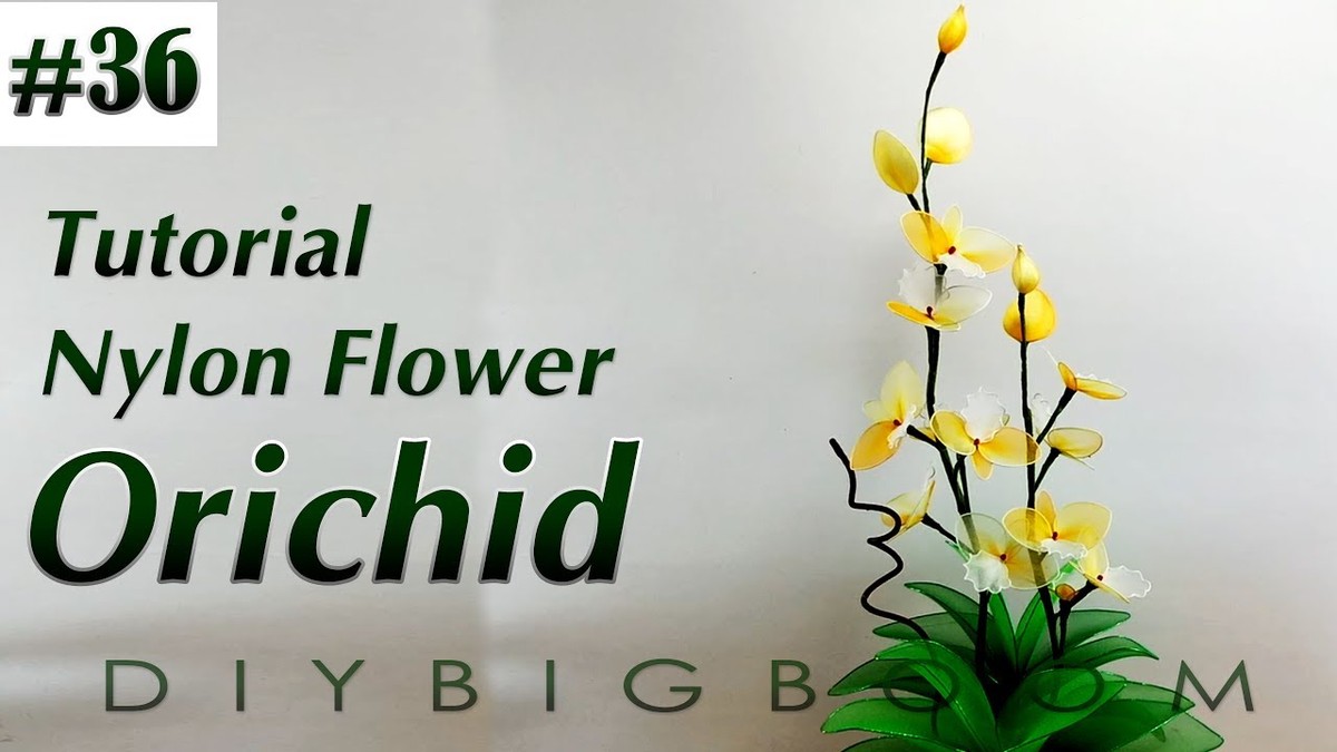 Starý punčoch jako zálivka pro květiny? Výsledky překvapují