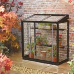 Starý šálek a papír: jak vytvořit jednoduchý skleník za pár korun