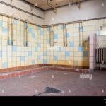 Starý sprchový kout přeměnit na nádobu pro polévání: jednoduchý hack na vodu