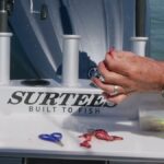 Střeva z případného drůbeží jako návnada pro užitečné hmyz