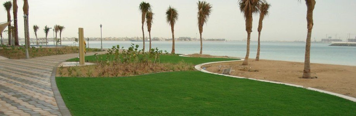 Sůl a cibule: kombinace, kterou květináči ve Francii střeží jako tajemství - image 1