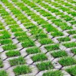 Sůl a mýdlo na plevel mezi dlaždicemi – chemie se nevyplatí