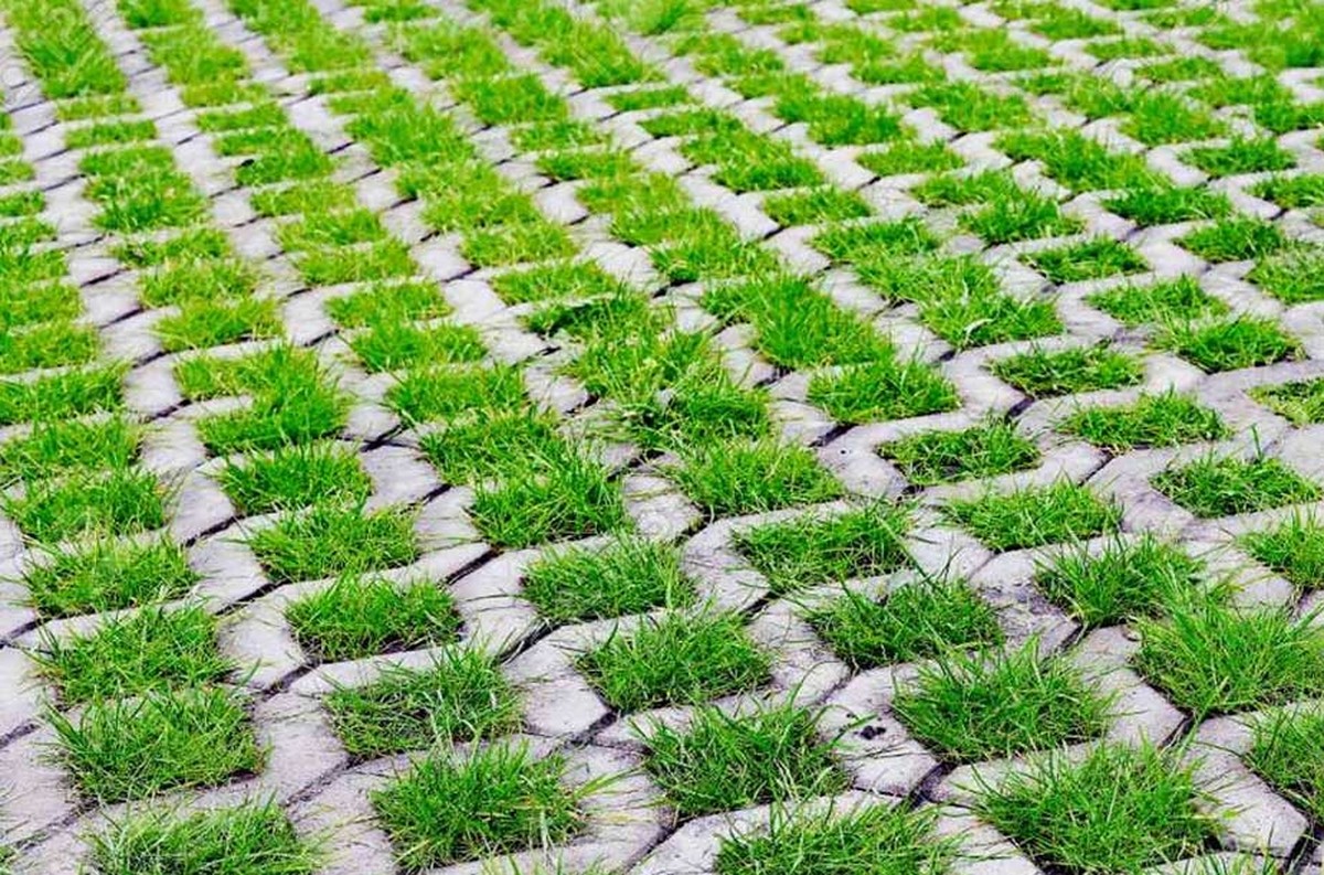 Sůl a mýdlo na plevel mezi dlaždicemi – chemie se nevyplatí