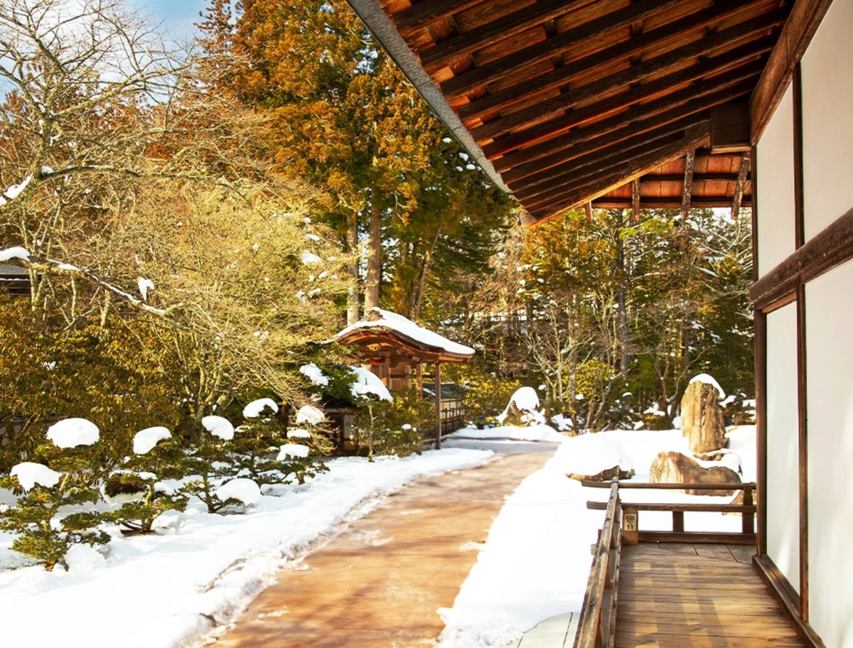 Sůl na cestě v zahradě? Proč to zahradníci dělají a vy byste měli taky - image 2