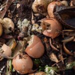 Vejce ve vaší kompostu? Jak přitáhnout správné bakterie za hubičku