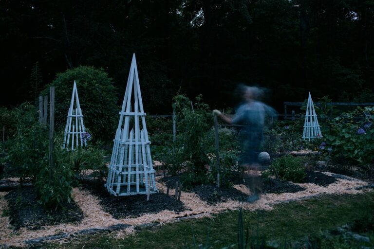 Zahradníci mají tajný trik: tento týden sázejí jen v určitou dobu