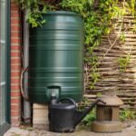 Zahradníci nikdy nepily vodu bezprostředně před zálivkou – zde je důvod