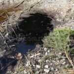 Zahradníci prosí: nikdy nelévejte tento olej na půdu