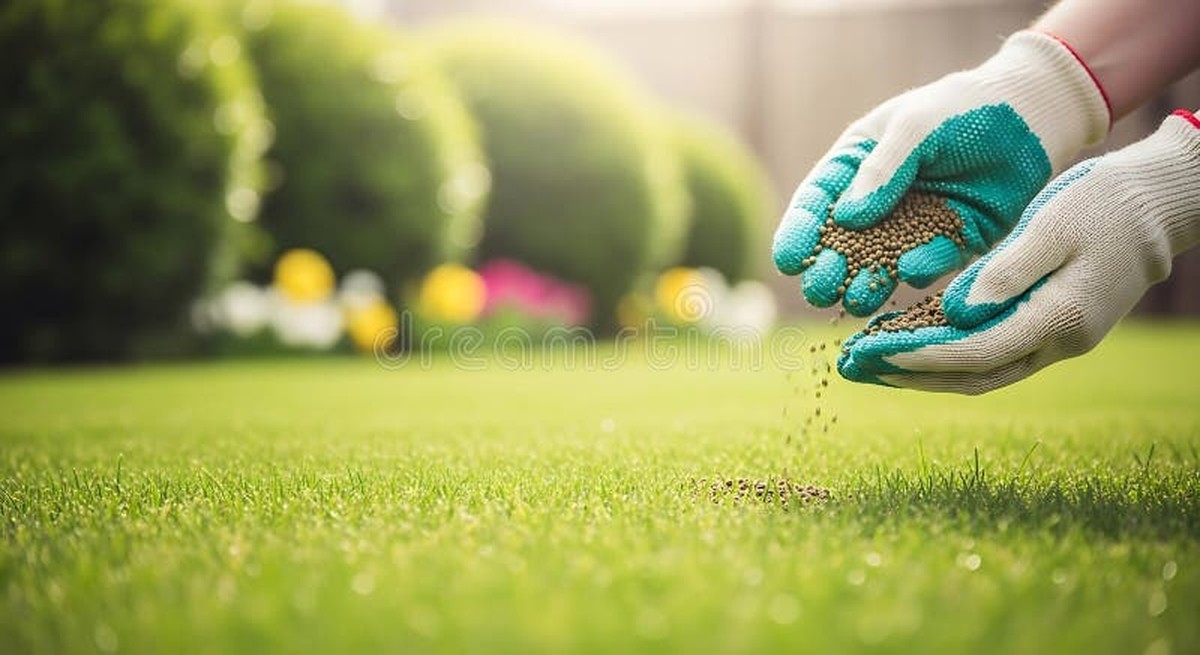 Zahradníci varují: nikdy nepoužívejte tento hnojiv bez rukavic