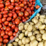 Zahradníci varují: nikdy nesázejte rajčata vedle tohoto rostliny