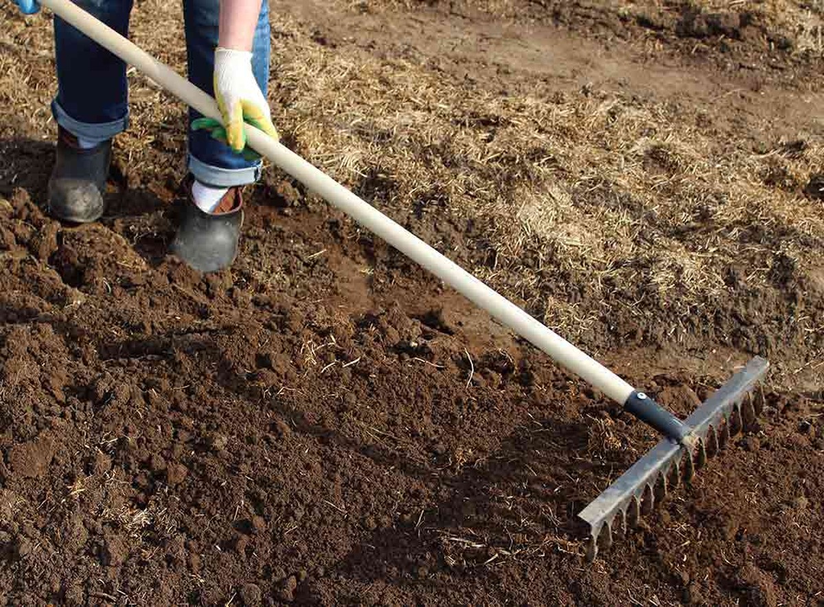 Zahradníci varují: nikdy nesnižujte hladinu půdy kolem kořenů takto - image 1