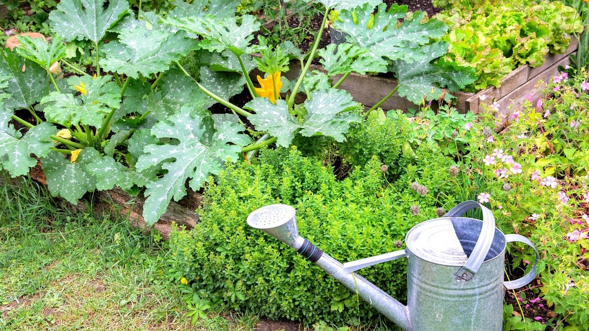 Zahradníci varují: tyto rostliny nikdy sázejte vedle sebe - image 2