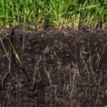 Bioložka radí: jak poznat zdravou půdu jedním zkoušením prstem