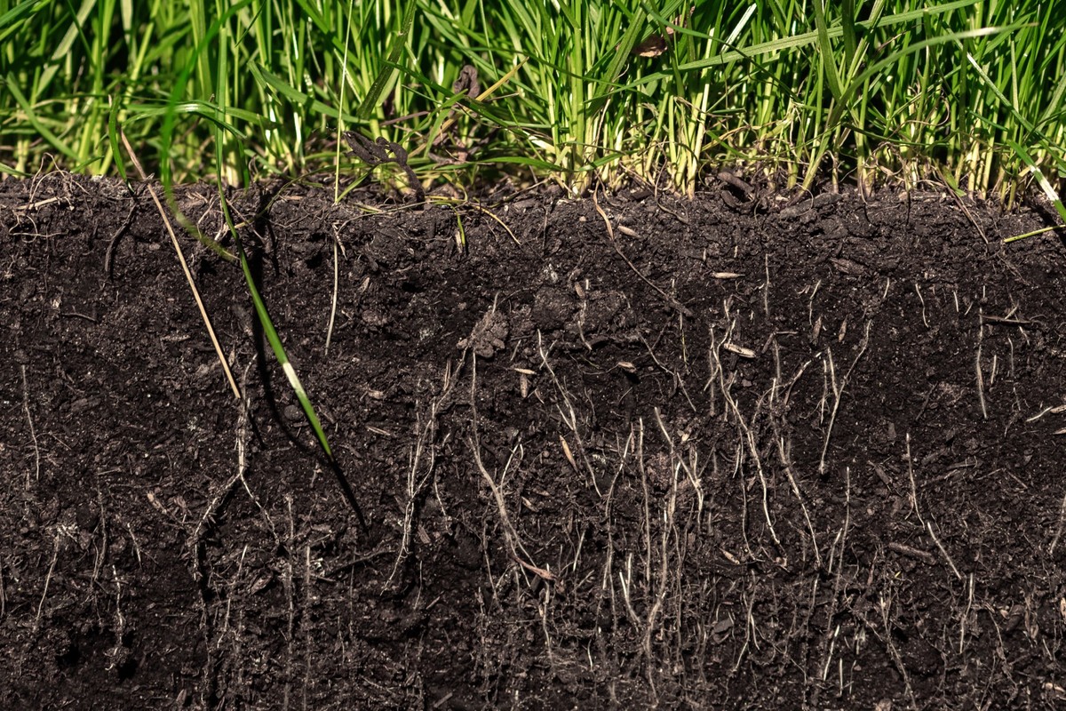 Bioložka radí: jak poznat zdravou půdu jedním zkoušením prstem
