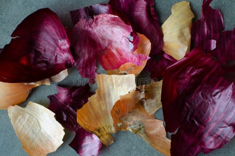 Cibulová slupka v trávě: horticultisté ji zbírají jako zlato