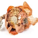 Cibulové slupky jako hnojivo: Zapleví vás ten obsah draslíku