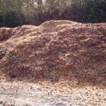 Cibulové slupky jako zázrak: přírodní hnojivo za 0 Kč, které funguje