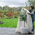 Co botanici dělají s květinami před mrazem, co ostatní přehlížejí