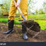 Co vám zemědělci nikdy neřeknou o správném vyorávání půdy